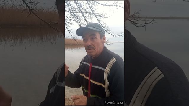 Коля или Эйты смотреть онлайн