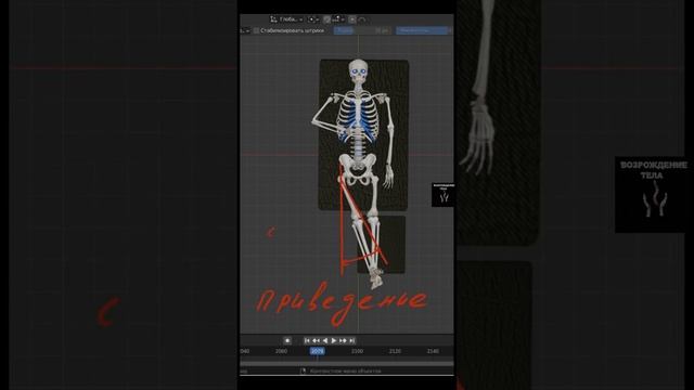 Движения в тазобедренном суставе смотреть онлайн