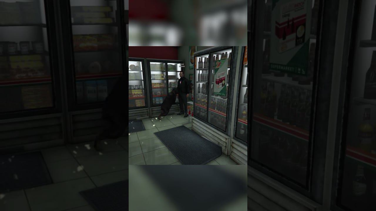 СОБАКА ПОЙМАЛА ВОРА НА МАДЖЕСТИК РП, ВОТ ТАКАЯ НЫНЧЕ ОХРАНА  В МАГАЗИНАХ 24/7  НА MAJESTIC RP.