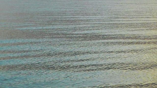 Gulf of Finland. Sestroretsk. смотреть онлайн