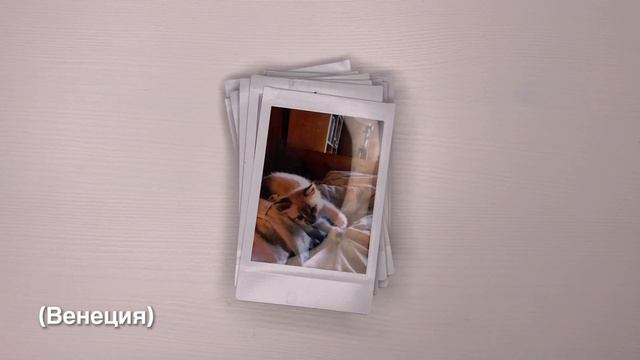 Моя КОЛЛЕКЦИЯ ПОЛАРОИДОВ! Instax Mini 9+instax Mini Link