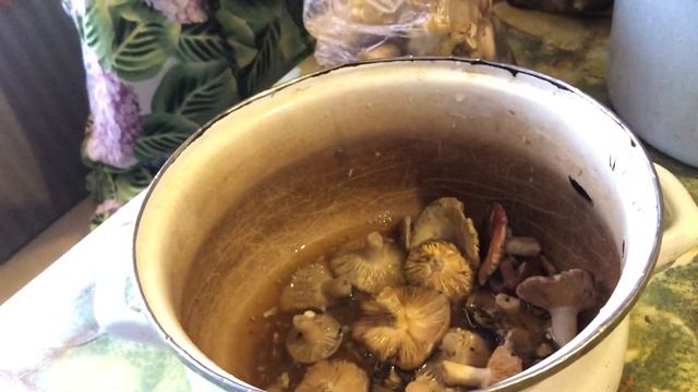 Заморозка грибов на зиму))) смотреть онлайн