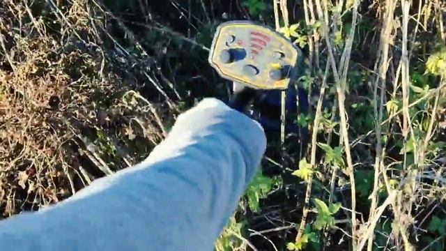 Реальный коп с AR944. Мой отзыв про металлоискатель AR-944 (ST944). Как настроить на чермет, металл