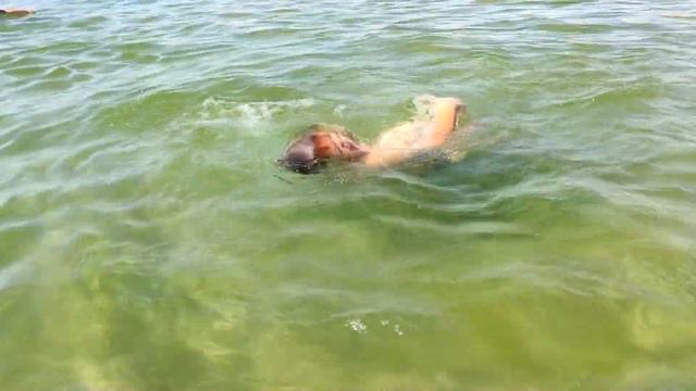 #АНАПА. МОРЕ. ДЕТСКАЯ ЖЕСТОКОСТЬ. смотреть онлайн