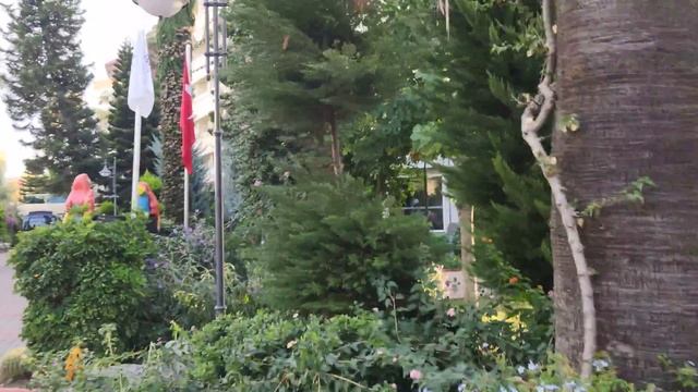 Saphir 4*, октябрь 2021 год обзор отеля