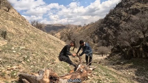 Mountain Adventure: Gathering Firewood for Winter Warmth