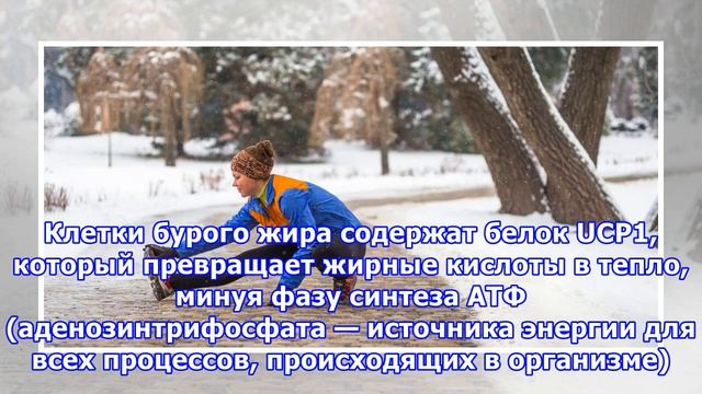 Помогают ли тренировки на холоде сжечь больше калорий смотреть онлайн