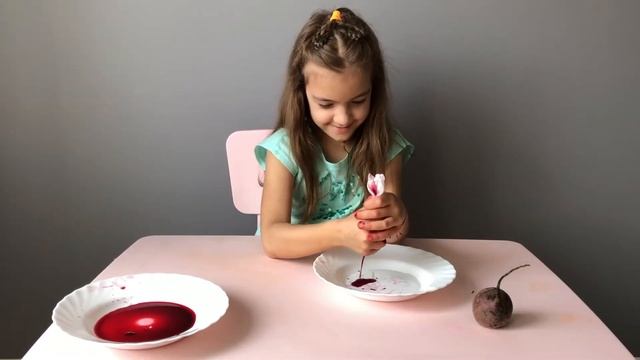 Делаем сами КРАСКИ из ОВОЩЕЙ, ЯГОД и ФРУКТОВ / Натуральные краски / Чи Полина смотреть онлайн