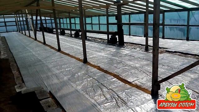 Внутри теплицы для рассады смотреть онлайн