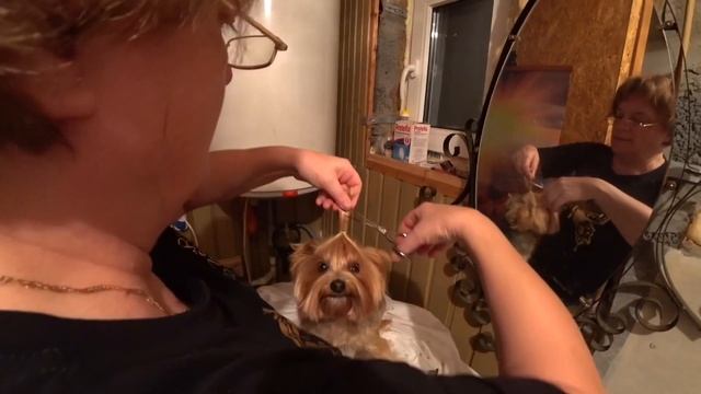 «Махеевъ» спас ужин? / На дачу с Муратбеком / Женечка красотка ? 29 июля 2019 г. смотреть онлайн