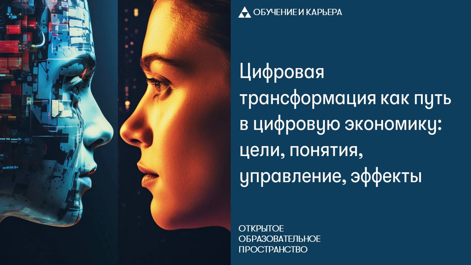 Цифровая трансформация как путь в цифровую экономику: цели, понятия, управление, эффекты смотреть онлайн