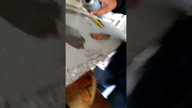 Завръщамесе с ГОРЕЛКА 2 смотреть онлайн