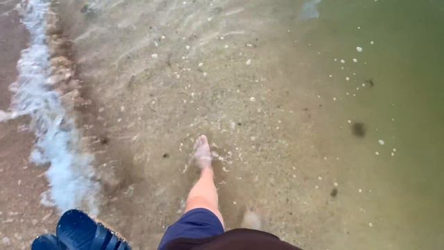 КОШМАР весь пляж усеян ЭТИМИ СУЩЕСТВАМИ на море в станице Голубицкая смотреть онлайн