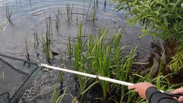 попался нам огромный линь смотреть онлайн