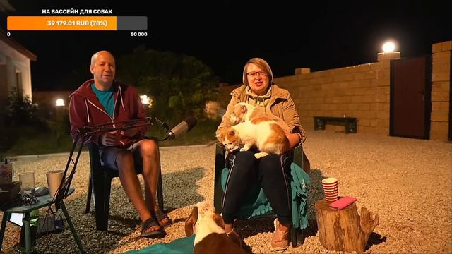 СТРИМ [23 августа 19:15]. Что случилось с Лапкой? Когда вязка Виты? Много собак и щенков на стриме! смотреть онлайн