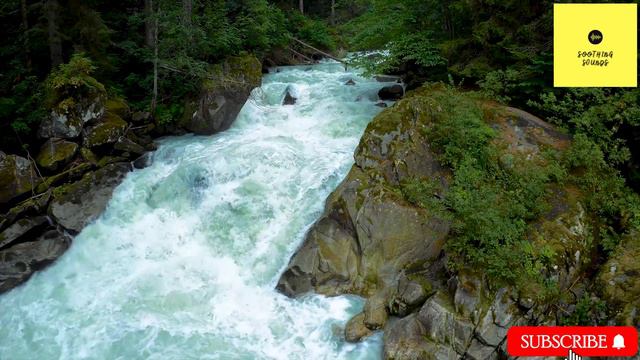 Soothing INDIAN classical music. Relaxing music. Sleep music. Meditation music. Stress relief music смотреть онлайн