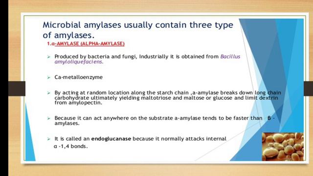 Asst.Prof.P.K.Gakkhad: Starch Degradation (TYBSc Metabolism MB343) Lec:24 смотреть онлайн