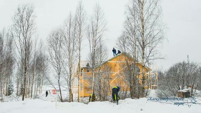 Благоустройство участков с деревьями смотреть онлайн