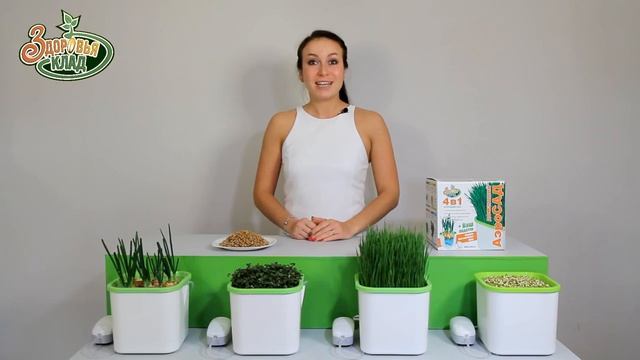 Зелень круглый год! Проращиватель АэроСАД Здоровья КЛАД обзор. 7 Семян. смотреть онлайн