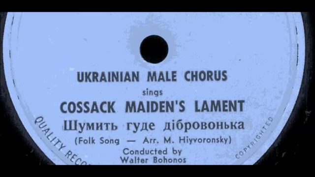 Шумить, гуде дібровонька Обр. М. Гайворонського. Дир-В. Богонос 1950 смотреть онлайн