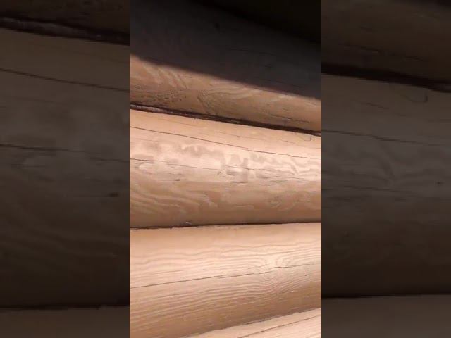 Покраска деревянного дома. Резиновая краска износостойкая смотреть онлайн