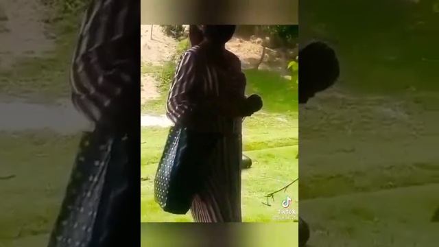 ZAPAL YOSH KELINCHAK XIYONATI SHARMANDA