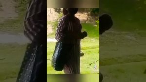 ZAPAL YOSH KELINCHAK XIYONATI SHARMANDA