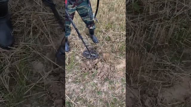 ТЕПЕРЬ БОГАТ ? #metaldetector #коп #металлоискатель #находки #minelab #coin #поискмонет #war #шурф смотреть онлайн