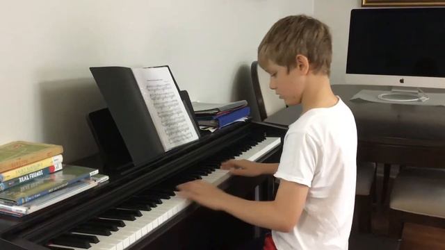 Долгая дорога в дюнах Раймонд Paus / piano cover by Maxim vorobiev смотреть онлайн