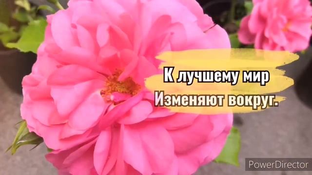 Красивое поздравление с Днем Социального Работника ? День Соцработника поздравление 8 июня