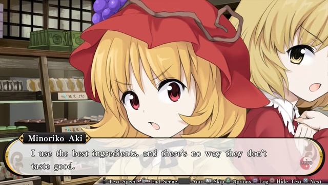 [013] Touhou Genso Wanderer - Kasen Events смотреть онлайн