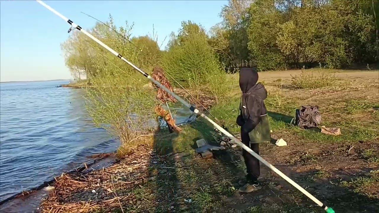 Первая в жизни рыбалка сына. Уделал отца всухую. смотреть онлайн