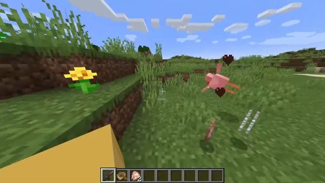 first person model mod minecraft 2021 + Descarga (1.17.1/1.16.5/1.15.2/1.14.4) смотреть онлайн