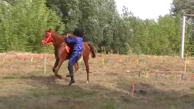 ?Выступление Казачьего Конного клуба "Ландо" смотреть онлайн