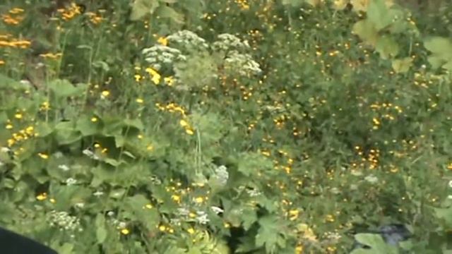 Приэльбрусье.ф смотреть онлайн