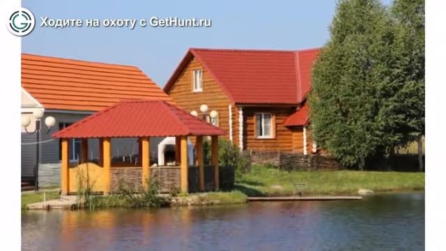 Охота в – База отдыха «Лесная слобода». охота на тетерева в , охота на вальдшнепа смотреть онлайн