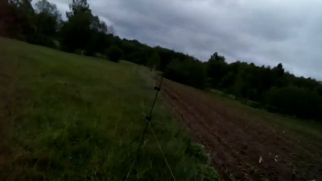 Электропастух. Часть 4. смотреть онлайн