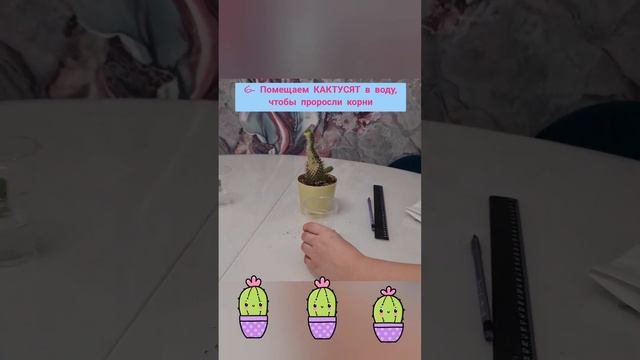 Спасаем кактус смотреть онлайн