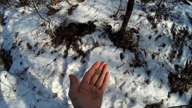 Супер коп в лесу! Отличные находки на немецких позициях! Личные вещи солдат. смотреть онлайн