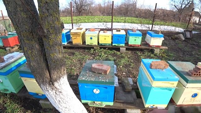 Чем красить ППС улья Варианты смотреть онлайн