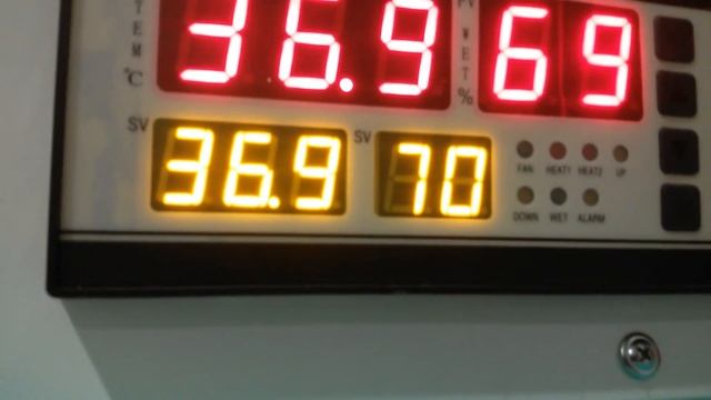 Инкубация индейки породы БИГ-6 в инкубаторе ТЖУ-440 компакт. смотреть онлайн