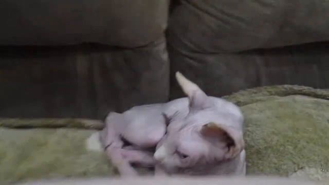 MVI 8457 смотреть онлайн