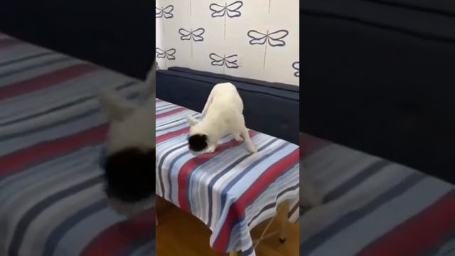 люблю массаж смотреть онлайн