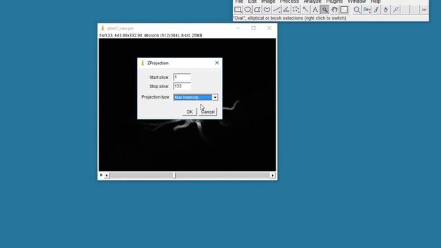 Creating z projections using ImageJ смотреть онлайн
