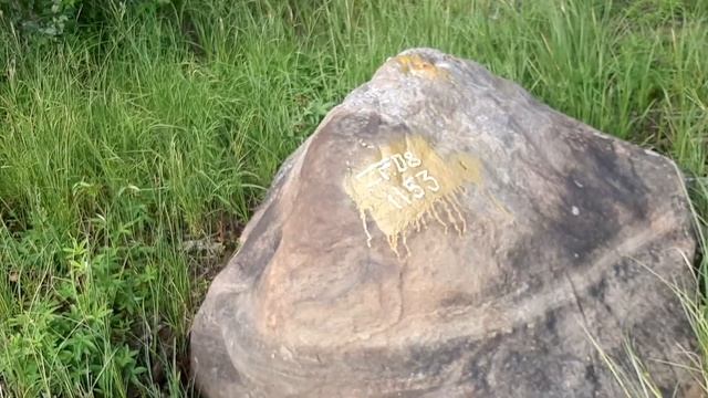 Ритмы Позитива