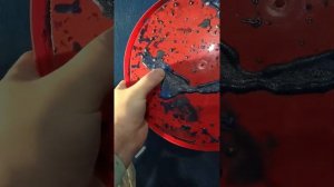 Тест гидроизоляции Plitonit ГидроЭласт на гипсовом основании в санузле