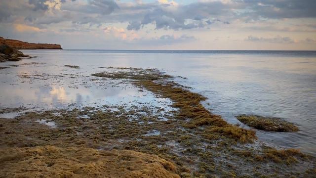 Теплый закат сентября 05.09.21 смотреть онлайн