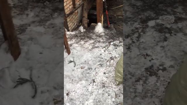 Производство древесного угля. Продажа по всей России и СНГ смотреть онлайн