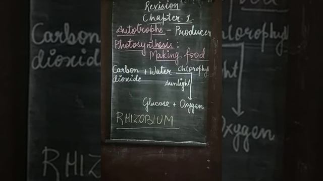 Class 7         NUTRITION IN PLANTS