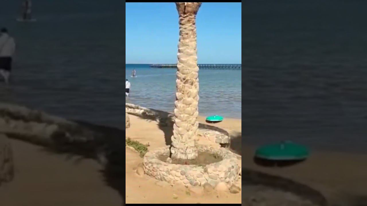 ELKARMA AQUA BEAC #elkarma #hurghada #egypt #египет #хургада #отелихургады #красноеморе #отдых